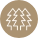 ikona drzewo